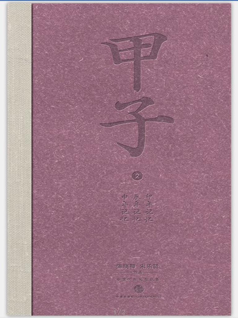 甲子2：中国60年民生记录