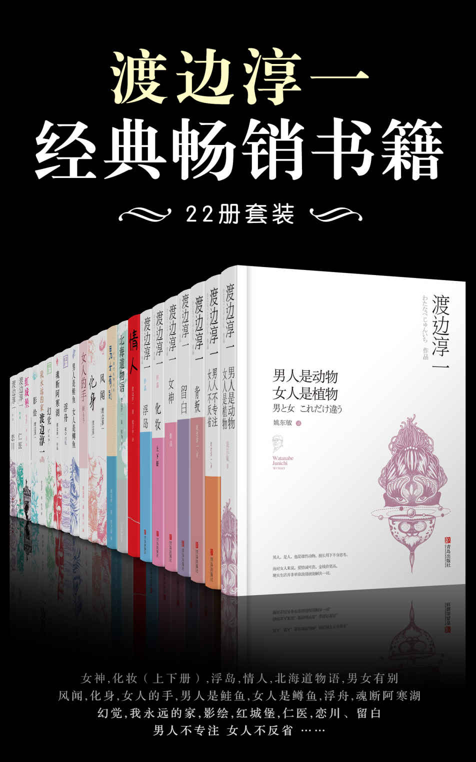 渡边淳一经典畅销书籍（22册套装）